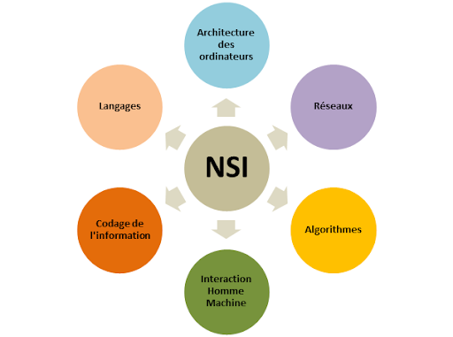 image explicative du programme de nsi en général